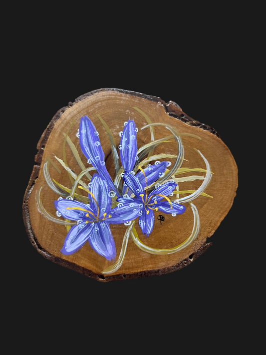 Saffron Crocus